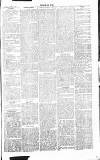 Chelsea News and General Advertiser Saturday 06 April 1867 Page 3