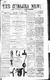 Chelsea News and General Advertiser Saturday 13 April 1867 Page 1