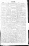 Chelsea News and General Advertiser Saturday 13 April 1867 Page 4