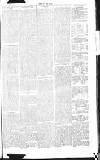 Chelsea News and General Advertiser Saturday 13 April 1867 Page 8