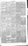 Chelsea News and General Advertiser Saturday 27 April 1867 Page 3