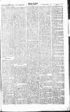 Chelsea News and General Advertiser Saturday 27 April 1867 Page 5