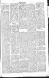 Chelsea News and General Advertiser Saturday 04 May 1867 Page 5