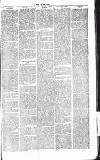 Chelsea News and General Advertiser Saturday 18 May 1867 Page 5