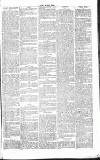 Chelsea News and General Advertiser Saturday 25 May 1867 Page 3