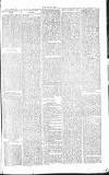 Chelsea News and General Advertiser Saturday 25 May 1867 Page 5