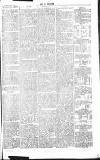 Chelsea News and General Advertiser Saturday 25 May 1867 Page 7