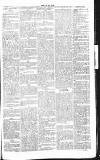 Chelsea News and General Advertiser Saturday 01 June 1867 Page 3