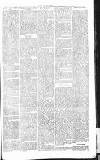 Chelsea News and General Advertiser Saturday 01 June 1867 Page 6