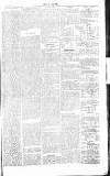 Chelsea News and General Advertiser Saturday 08 June 1867 Page 7