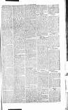 Chelsea News and General Advertiser Saturday 15 June 1867 Page 3