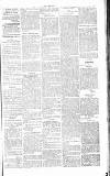 Chelsea News and General Advertiser Saturday 15 June 1867 Page 5