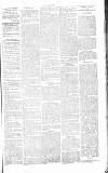 Chelsea News and General Advertiser Saturday 22 June 1867 Page 5