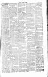 Chelsea News and General Advertiser Saturday 22 June 1867 Page 7