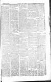 Chelsea News and General Advertiser Saturday 29 June 1867 Page 3