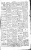 Chelsea News and General Advertiser Saturday 29 June 1867 Page 5