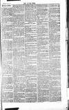 Chelsea News and General Advertiser Saturday 06 July 1867 Page 3