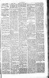 Chelsea News and General Advertiser Saturday 06 July 1867 Page 5