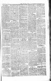 Chelsea News and General Advertiser Saturday 06 July 1867 Page 7