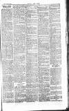 Chelsea News and General Advertiser Saturday 13 July 1867 Page 7
