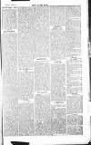Chelsea News and General Advertiser Saturday 20 July 1867 Page 5