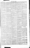Chelsea News and General Advertiser Saturday 20 July 1867 Page 7