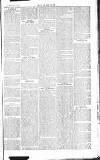 Chelsea News and General Advertiser Saturday 27 July 1867 Page 3