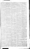 Chelsea News and General Advertiser Saturday 27 July 1867 Page 8