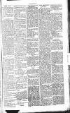 Chelsea News and General Advertiser Saturday 03 August 1867 Page 5