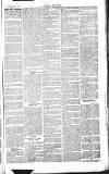 Chelsea News and General Advertiser Saturday 03 August 1867 Page 7