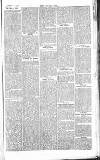 Chelsea News and General Advertiser Saturday 10 August 1867 Page 5