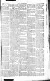 Chelsea News and General Advertiser Saturday 10 August 1867 Page 7
