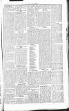 Chelsea News and General Advertiser Saturday 17 August 1867 Page 3