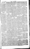 Chelsea News and General Advertiser Saturday 17 August 1867 Page 5