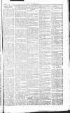 Chelsea News and General Advertiser Saturday 17 August 1867 Page 7