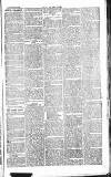 Chelsea News and General Advertiser Saturday 24 August 1867 Page 3
