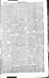 Chelsea News and General Advertiser Saturday 24 August 1867 Page 5