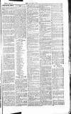 Chelsea News and General Advertiser Saturday 24 August 1867 Page 7