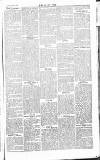 Chelsea News and General Advertiser Saturday 07 September 1867 Page 5