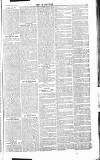 Chelsea News and General Advertiser Saturday 14 September 1867 Page 3