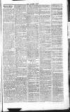 Chelsea News and General Advertiser Saturday 05 October 1867 Page 3