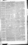 Chelsea News and General Advertiser Saturday 05 October 1867 Page 7