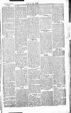 Chelsea News and General Advertiser Saturday 12 October 1867 Page 5