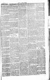 Chelsea News and General Advertiser Saturday 12 October 1867 Page 7