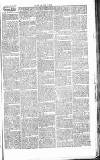 Chelsea News and General Advertiser Saturday 26 October 1867 Page 3