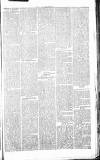 Chelsea News and General Advertiser Saturday 26 October 1867 Page 5