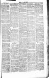 Chelsea News and General Advertiser Saturday 26 October 1867 Page 7