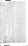 Chelsea News and General Advertiser Saturday 09 November 1867 Page 3