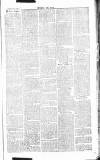 Chelsea News and General Advertiser Saturday 09 November 1867 Page 7