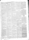 Chelsea News and General Advertiser Saturday 16 November 1867 Page 5